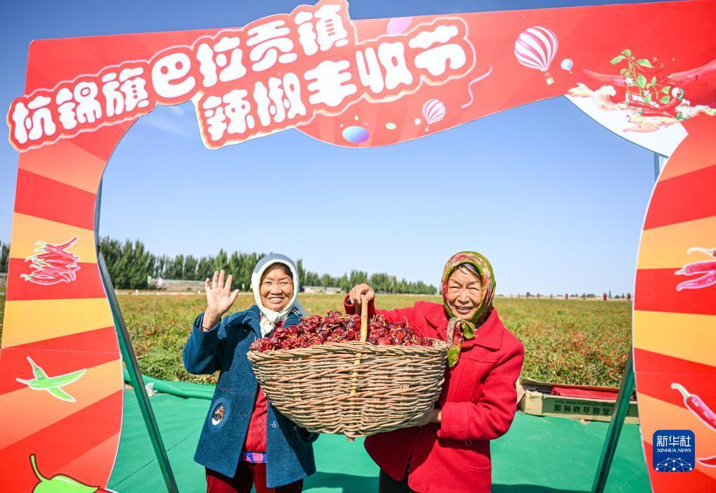 免费三张牌单机